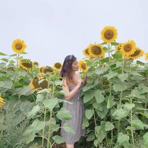 Meet your Posher, Vũ trang